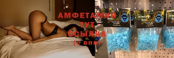 спиды Горняк