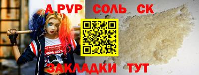 тгк Бийск