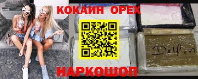 тгк Бийск