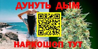 тгк Бийск