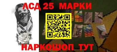 тгк Бийск