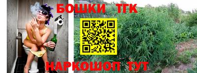 тгк Бийск