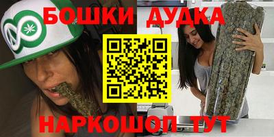тгк Бийск