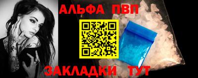 тгк Бийск