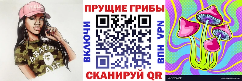 Псилоцибиновые грибы Cubensis  где купить   Изобильный 