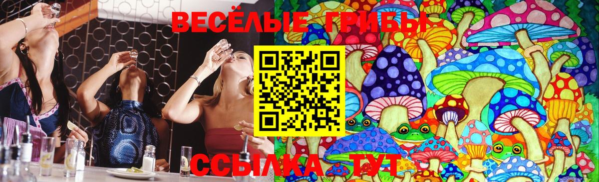 Псилоцибиновые грибы GOLDEN TEACHER Изобильный