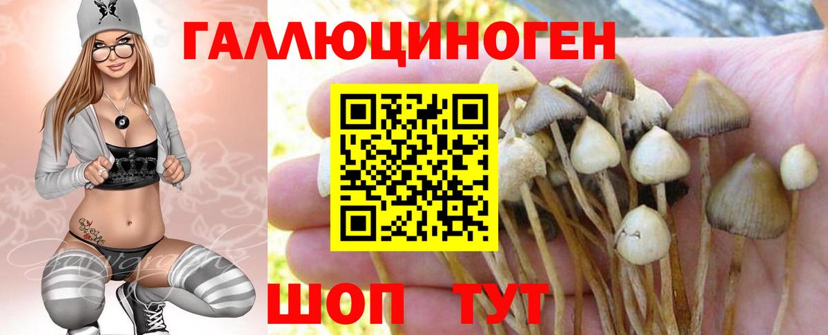 Изобильный  Галлюциногенные грибы Psilocybe  Вход с VPN  Галлюциногенные грибы GOLDEN TEACHER 