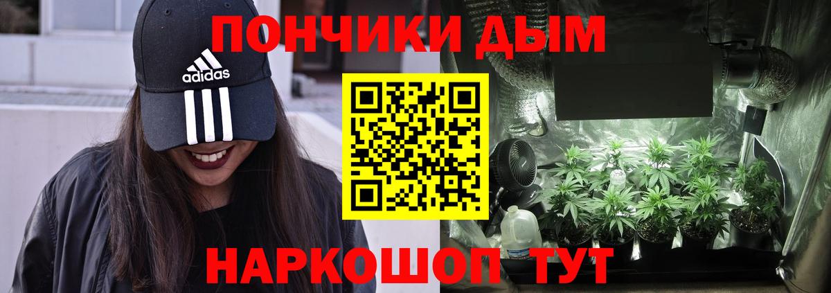 Канабис MAZAR Изобильный